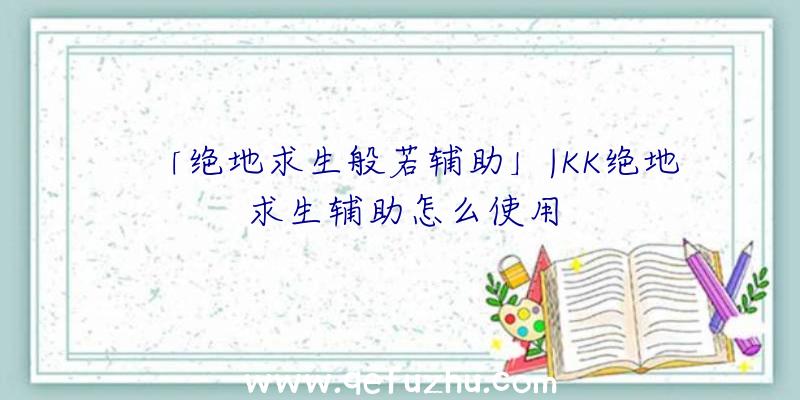 「绝地求生般若辅助」|KK绝地求生辅助怎么使用